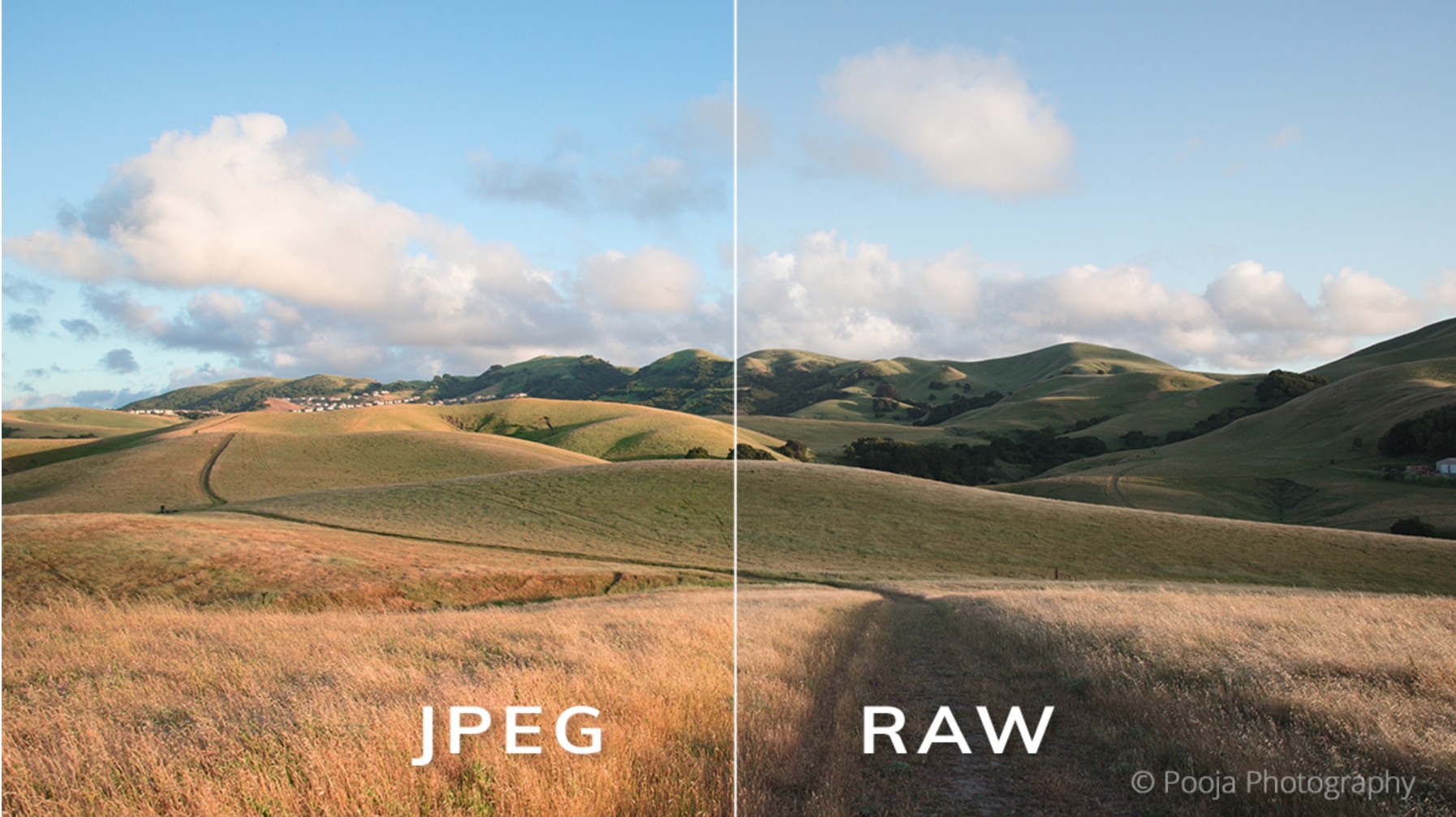 2jpeg-vs-raw.jpg