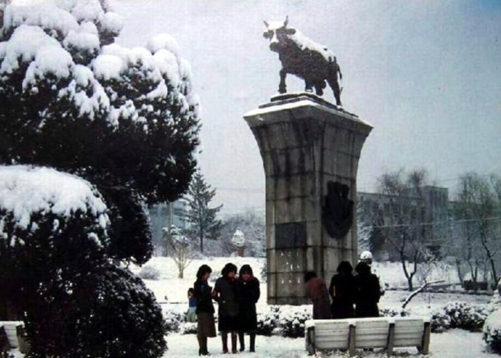 90년대 필름 카메라로 찍은 겨울 여행 사진 예시