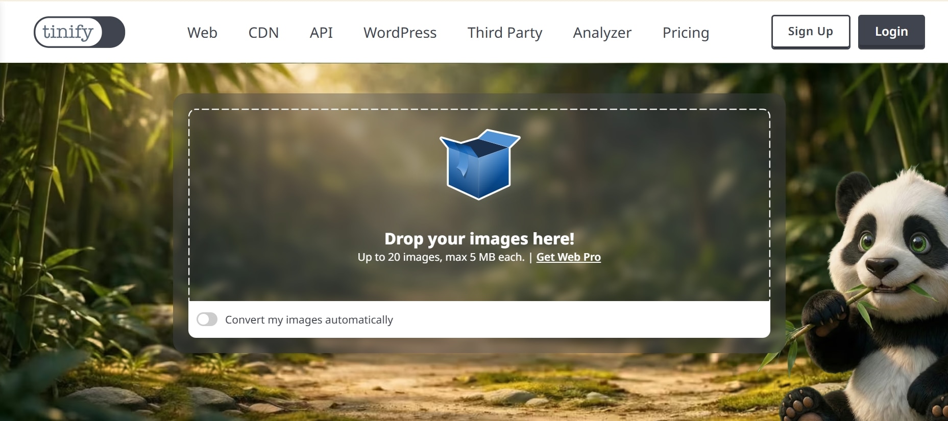 best-way-to-optimize-blog-images.jpg