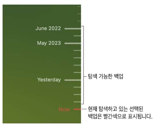 타임 머신으로 맥북 삭제 파일 복구