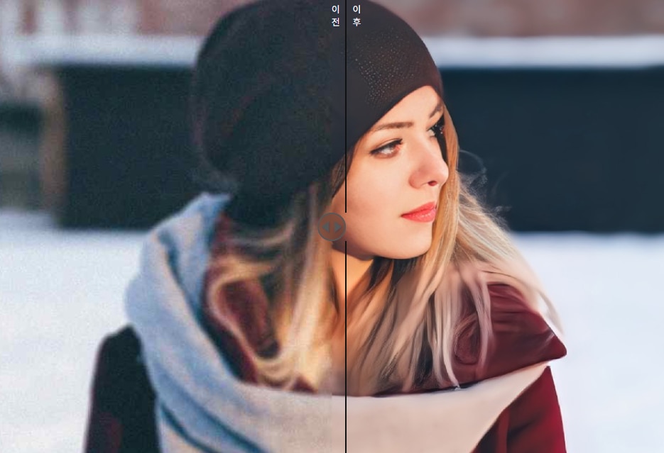 photodirector.png