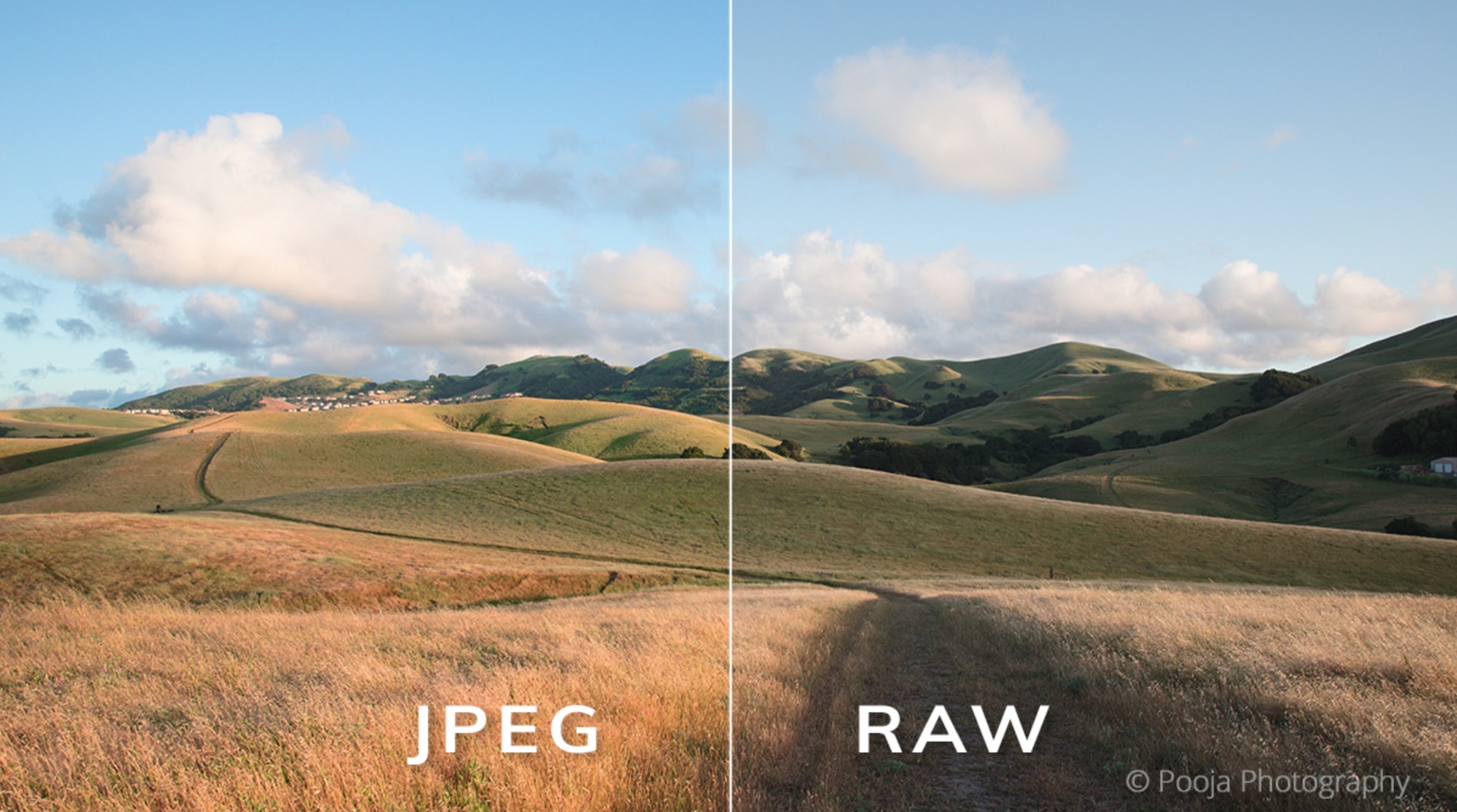 raw-image.jpg