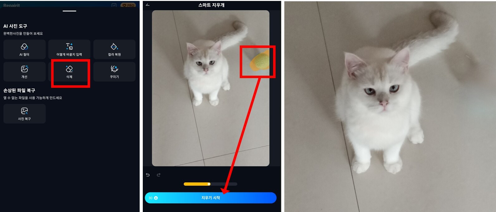 Repairit 오브젝트 제거 기능