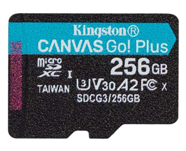 Kingston Canvas Go!