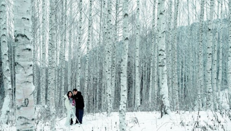 강원도 겨울 눈 내리는 풍경 촬영 사진