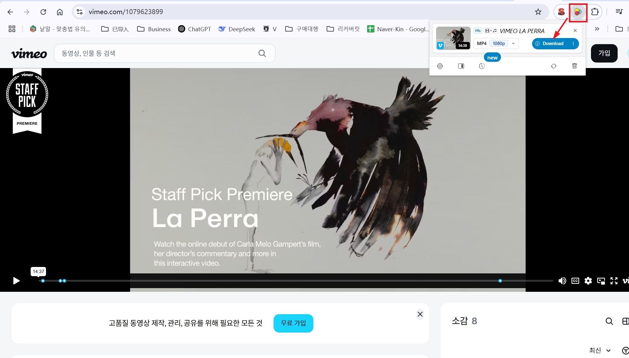 video-download.jpg