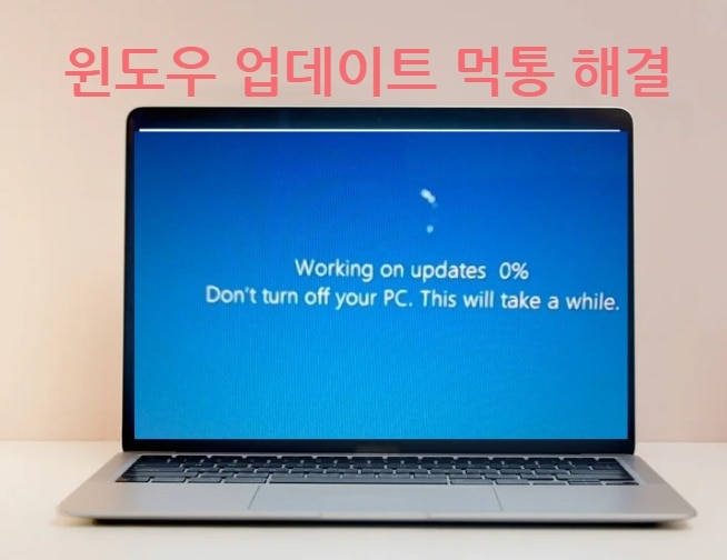 Windows 11 업데이트 오류 0% 멈춤? 전문가 추천된 초보자 사용가능의 해결법