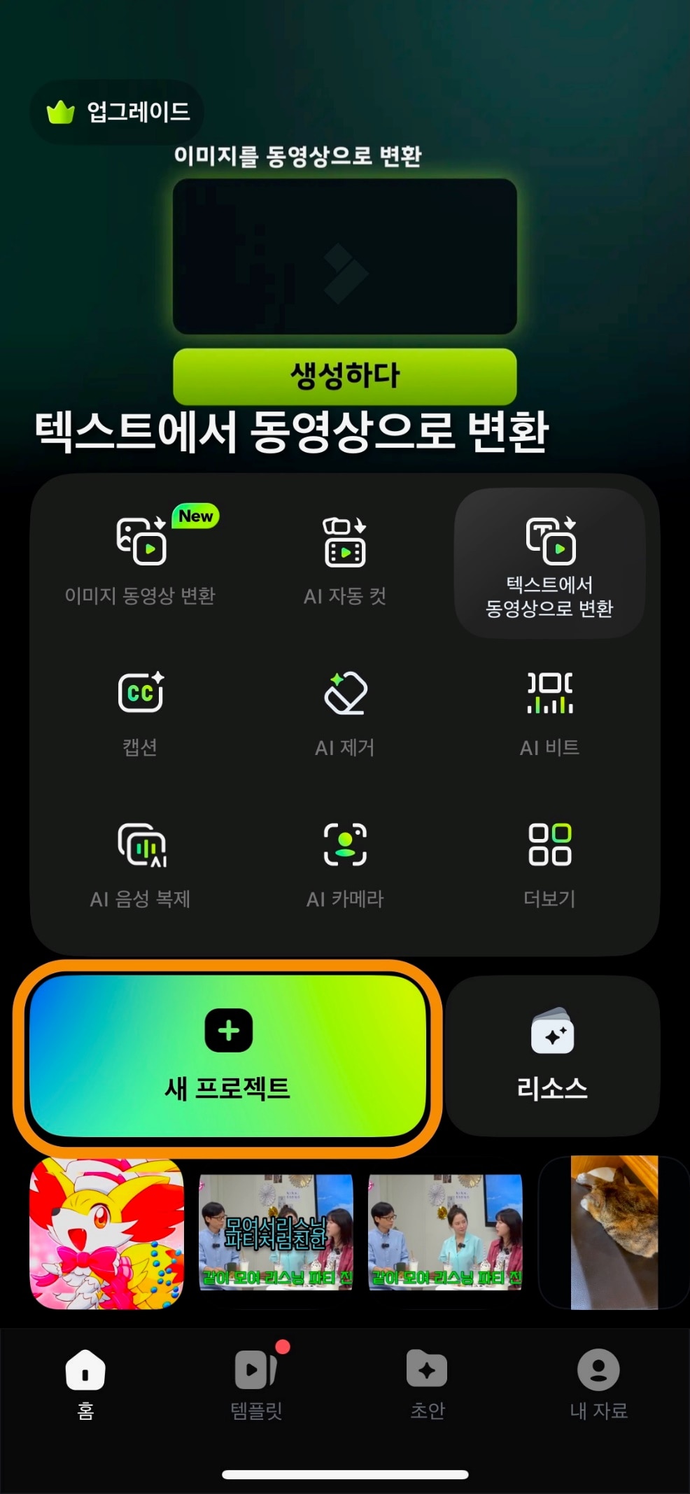 팔모라 실행
