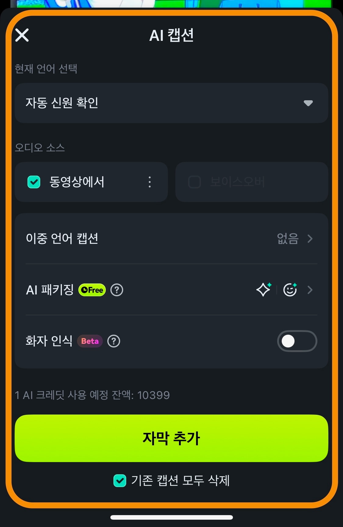AI캡션 옵션