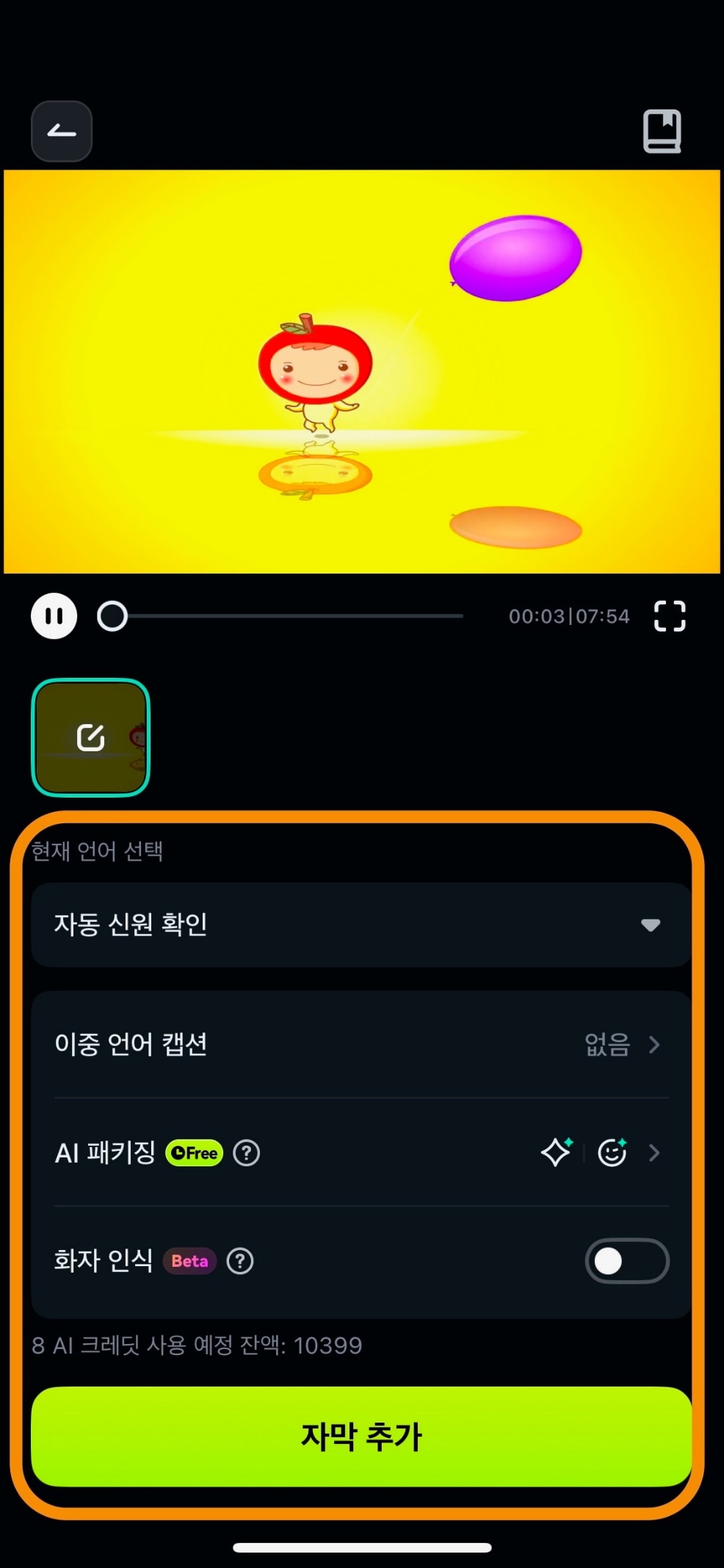 자막추가 옵션