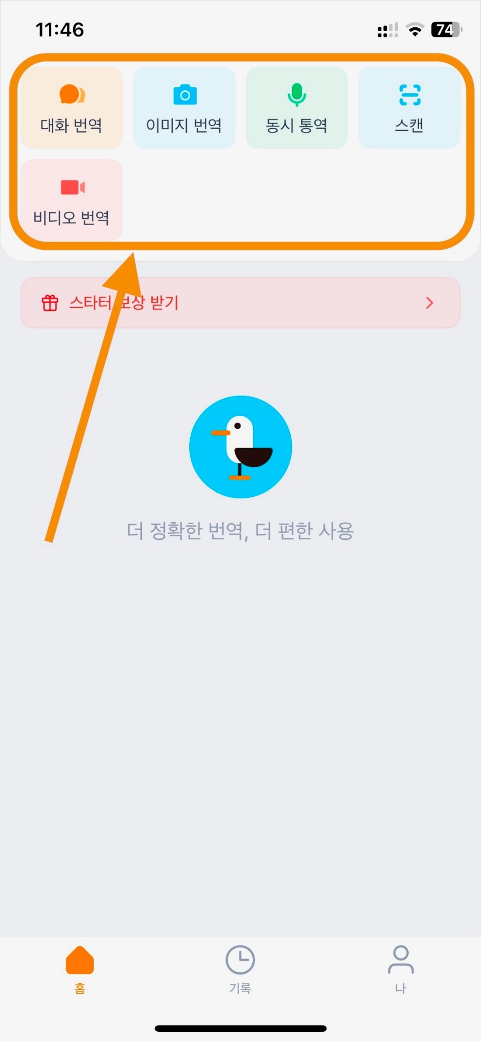 번역 갈매기