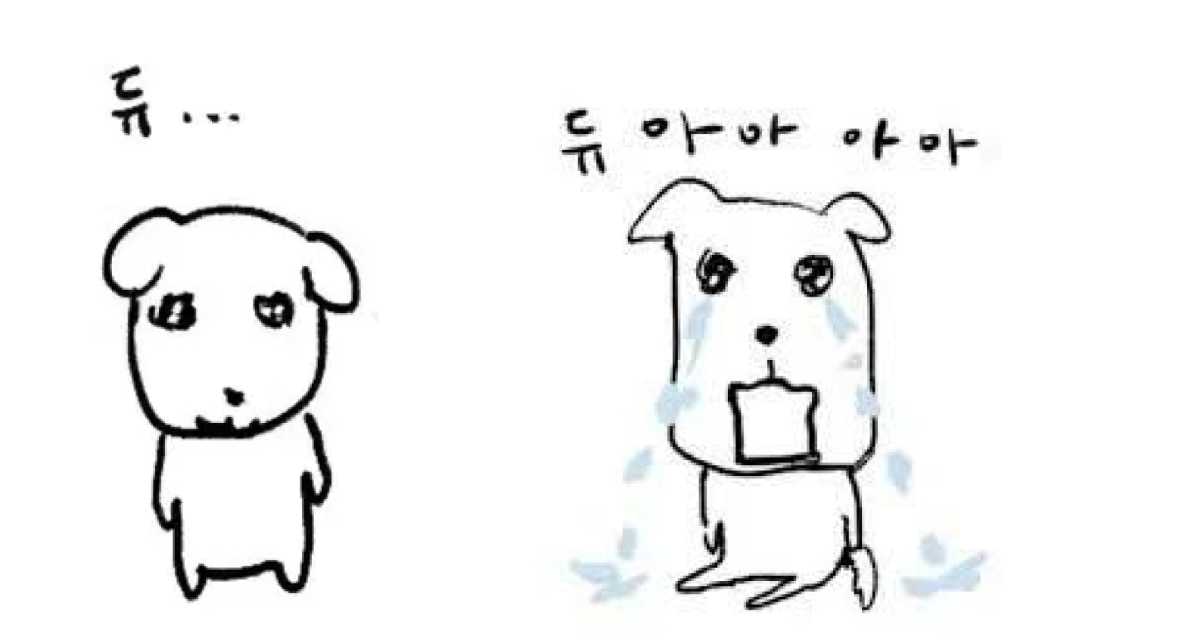 인기 밈 예시