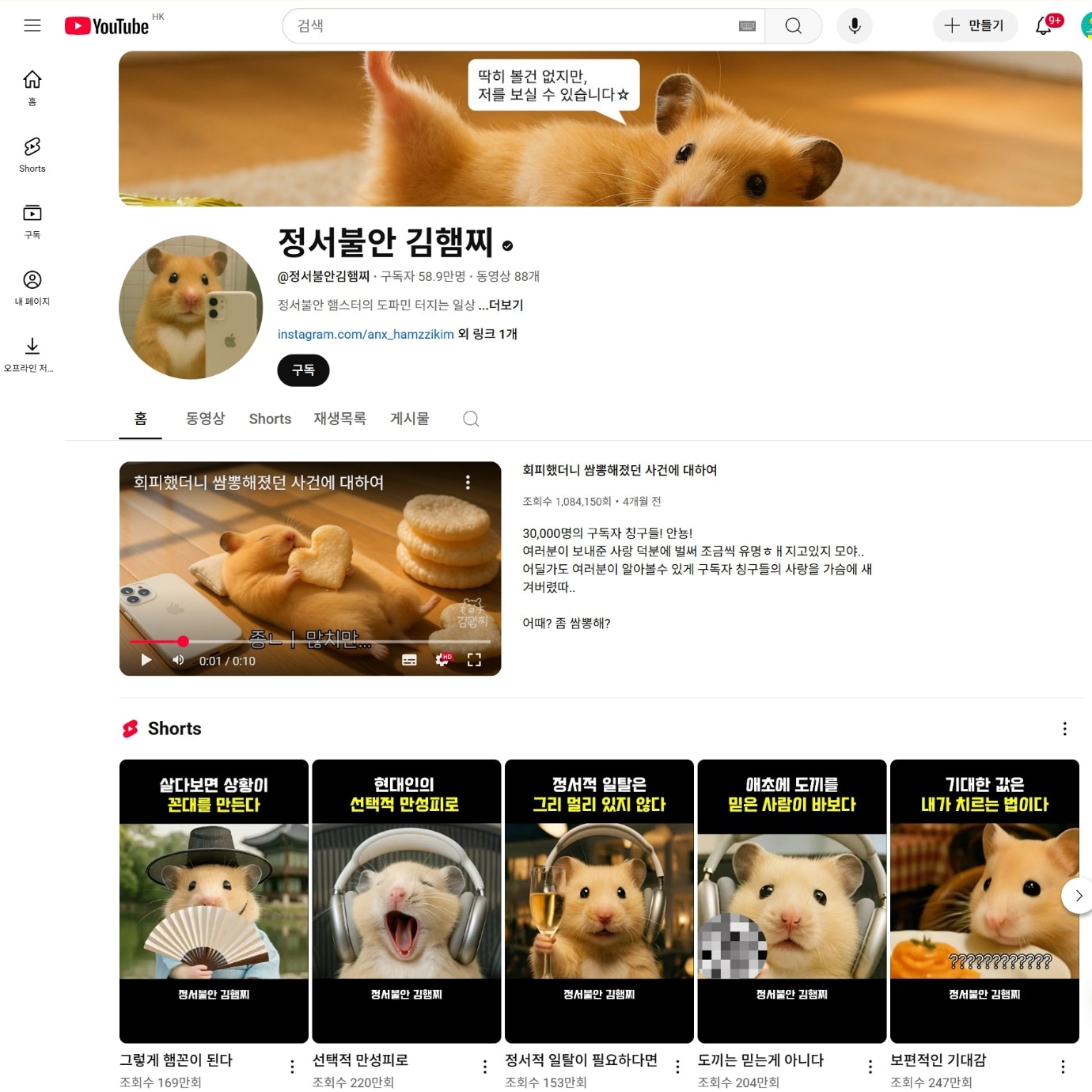 정서불안 김햄찌