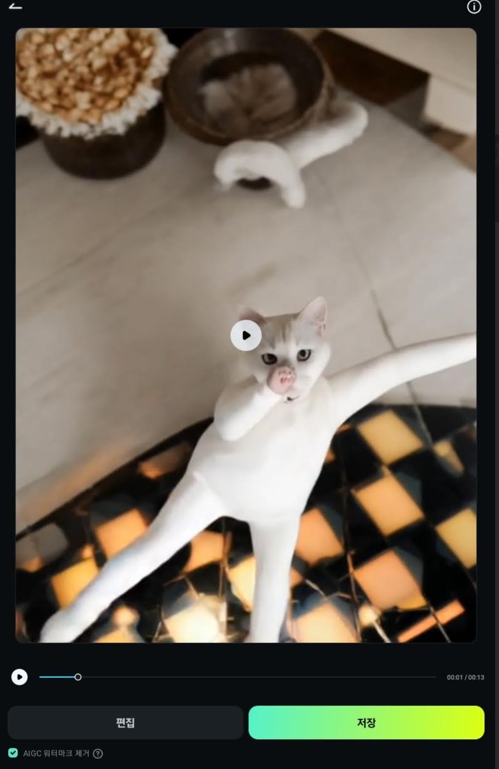 동물ai 영상 생성