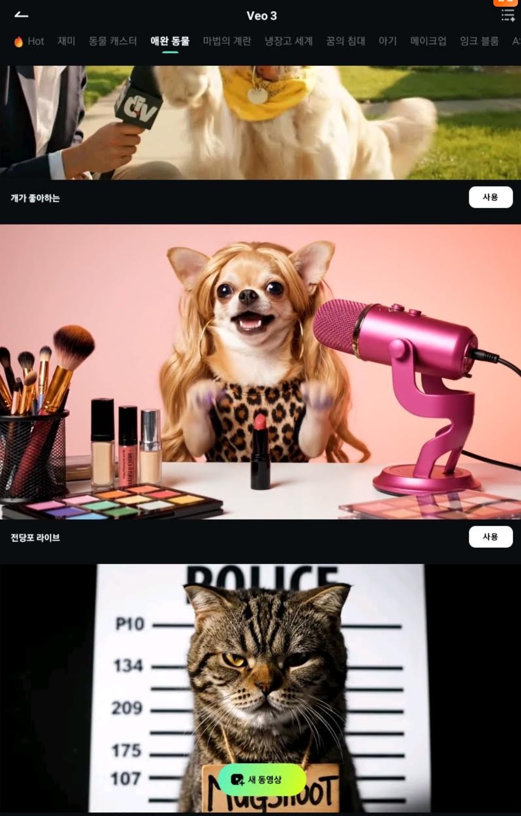 Veo 3템플릿