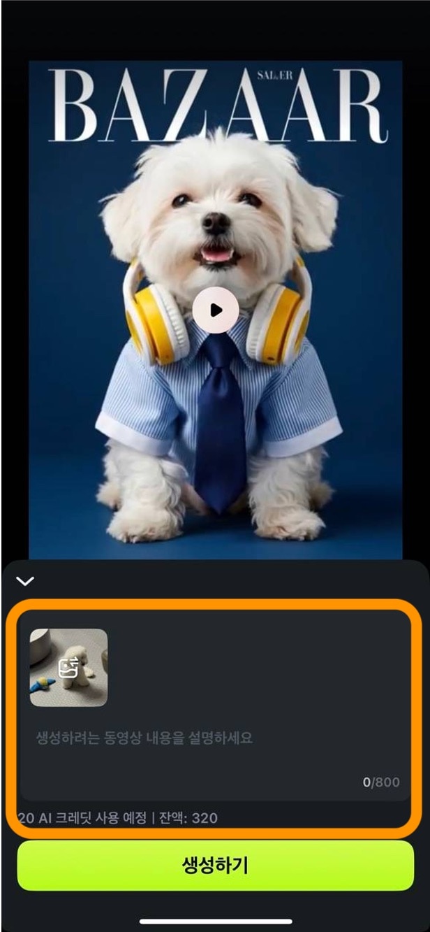 강아지 사진 업로드