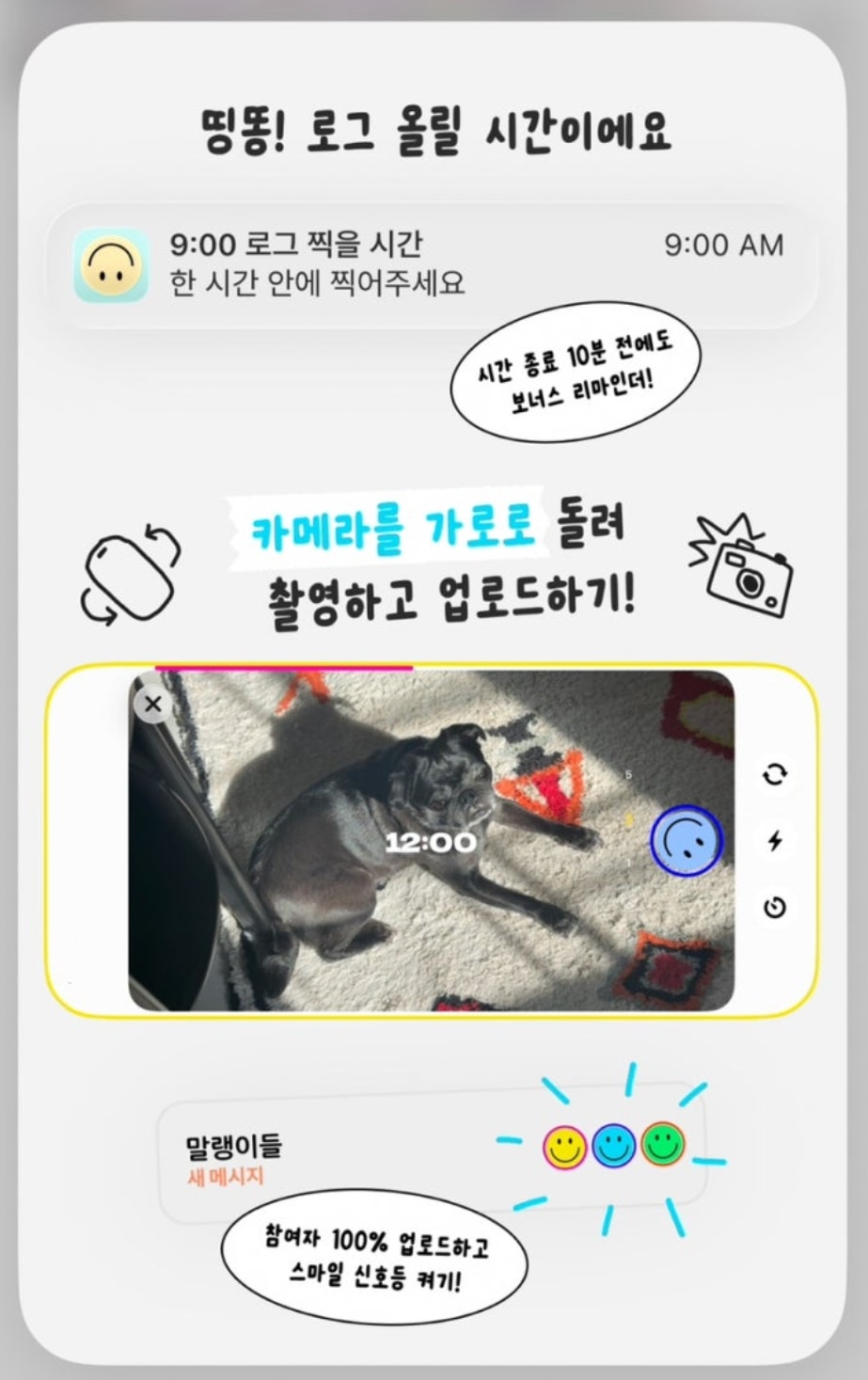 셋로그맞는사람