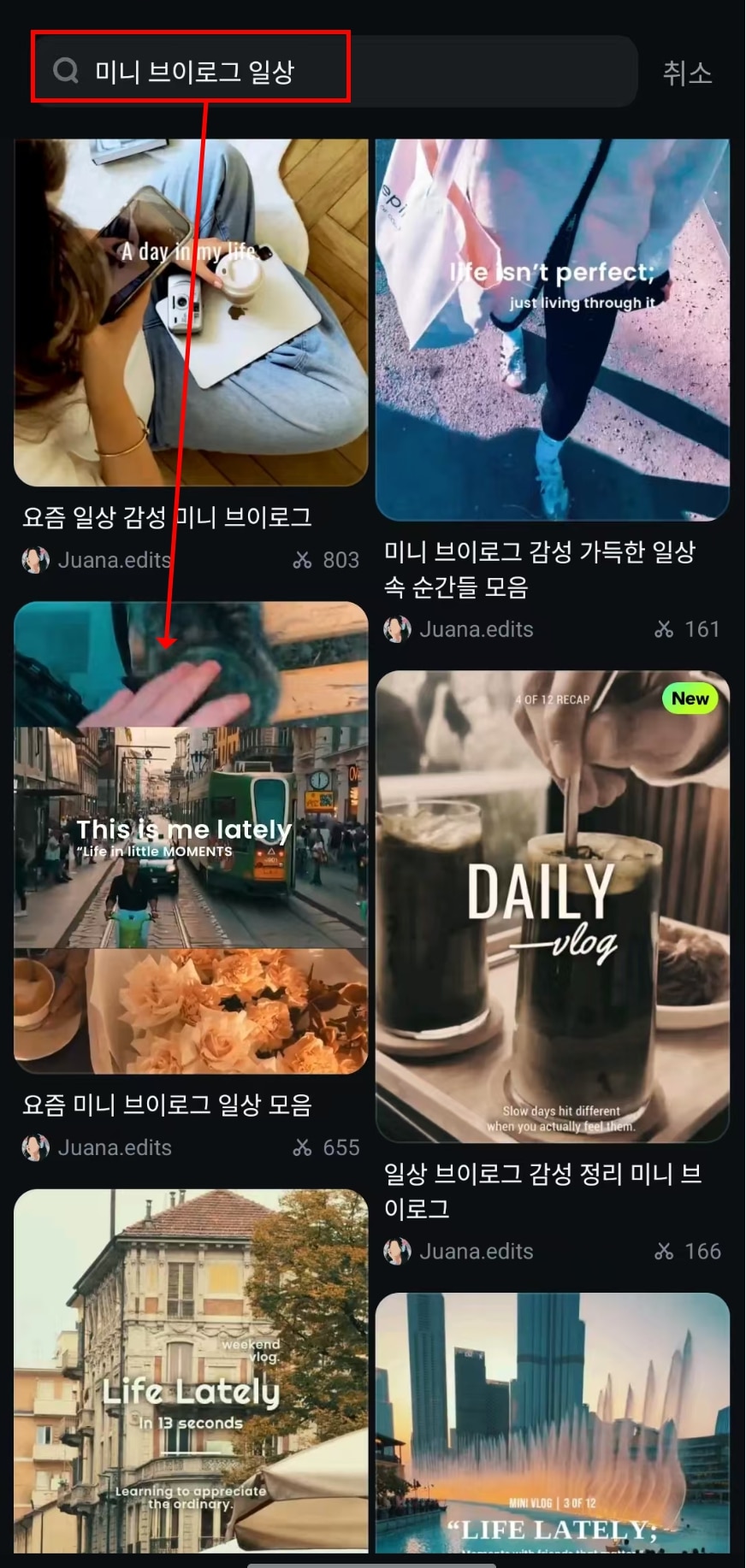 필모라미니브이로그