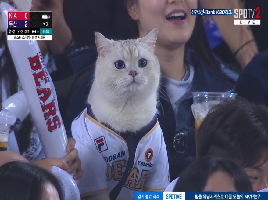 야구중계샷프롬프트생성