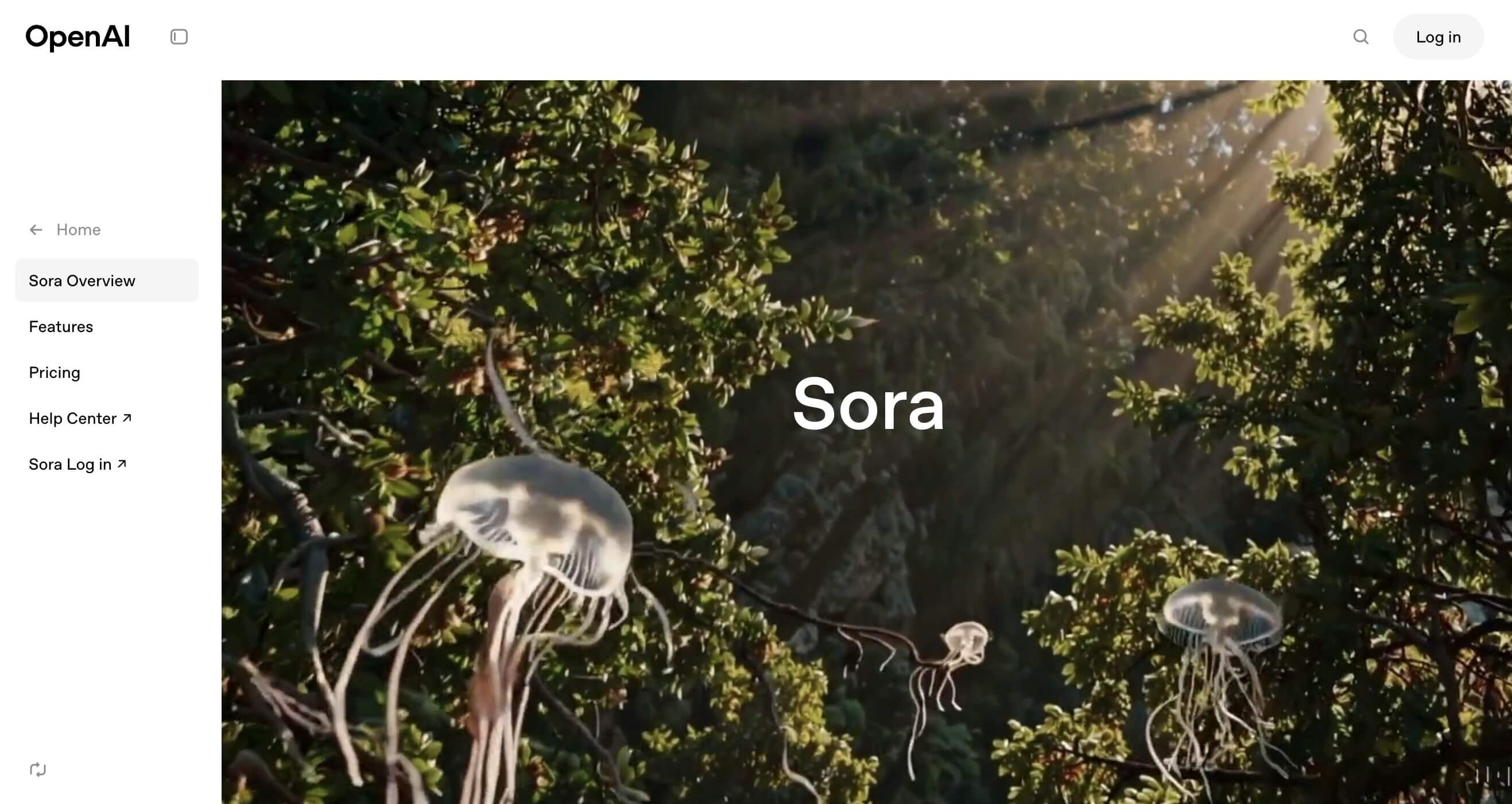 OpenAI Sora