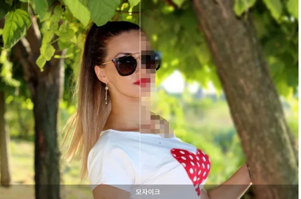 필모라 모자이크 제거