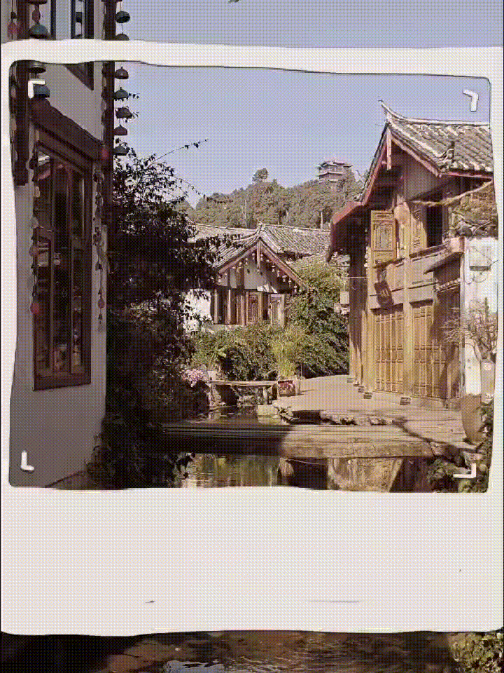필모라폴라로이드
