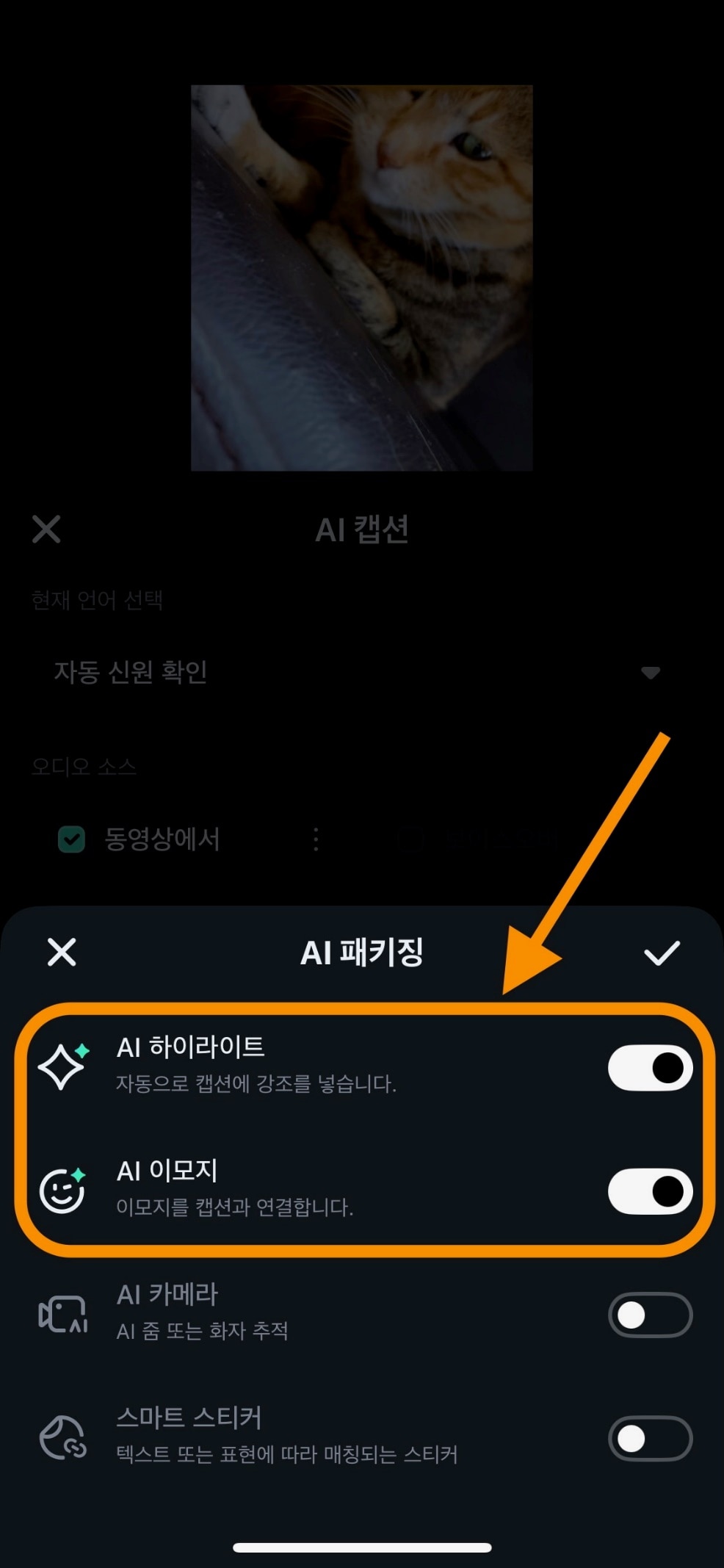 하이라이트 및 이모지