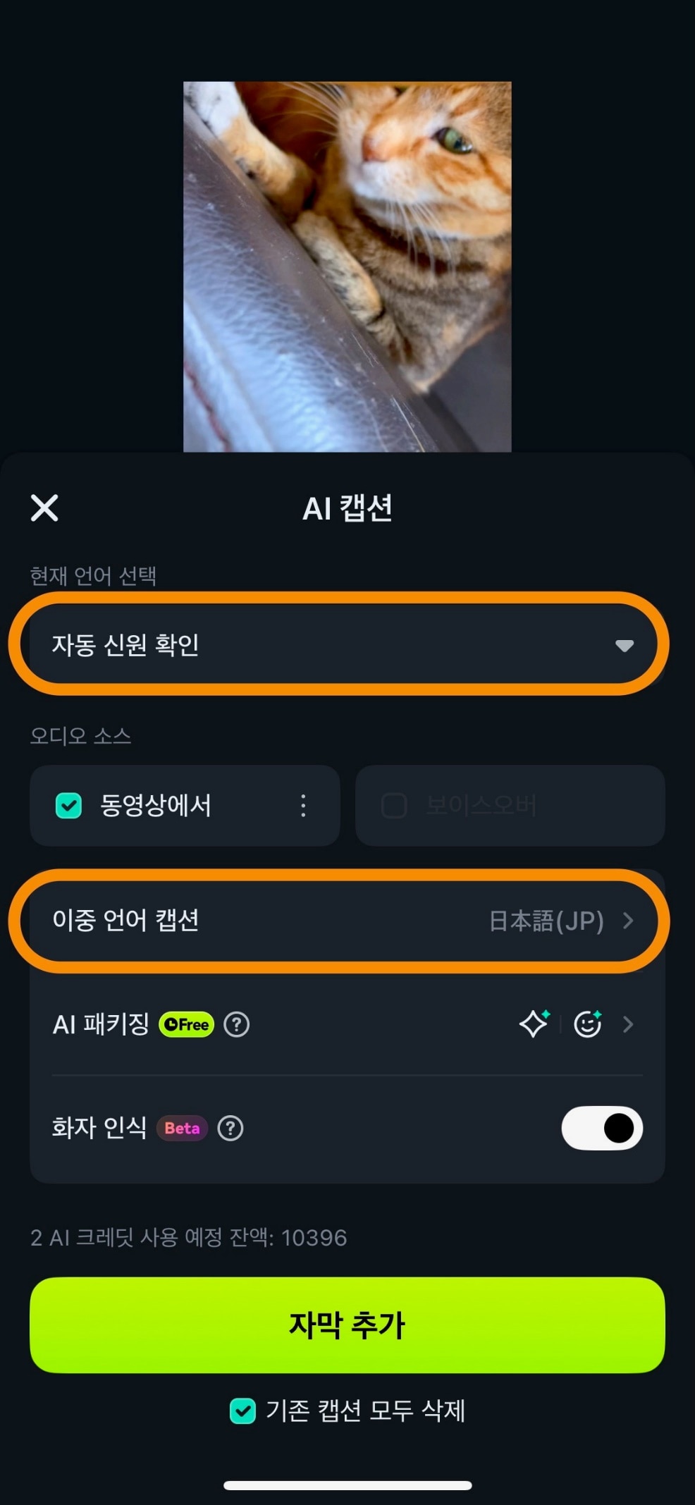 AI 캡션 자동 음성 언어 인식