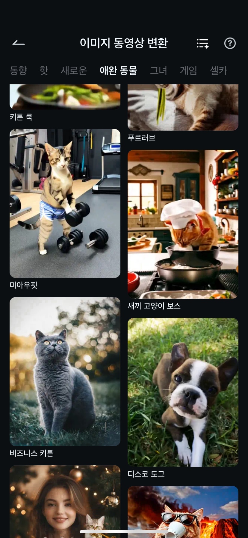 AI 고양이 요리 스타일 선택