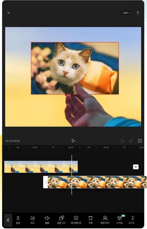 capcut