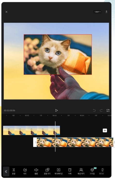 CapCut
