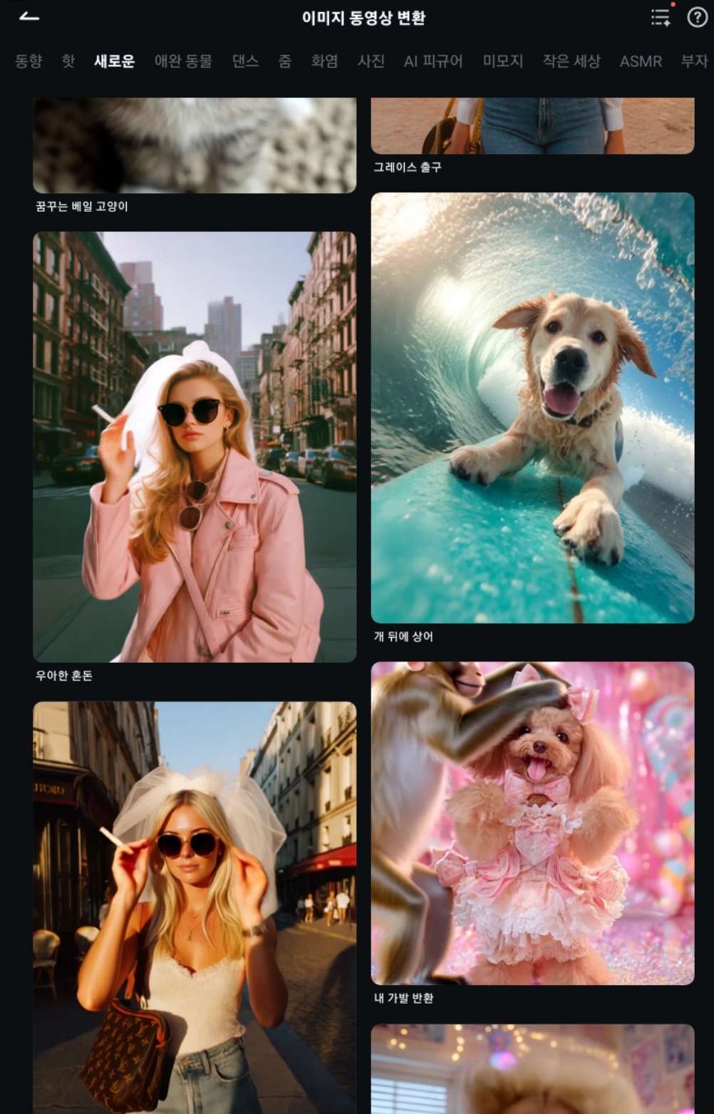 송년회 영상 제작4