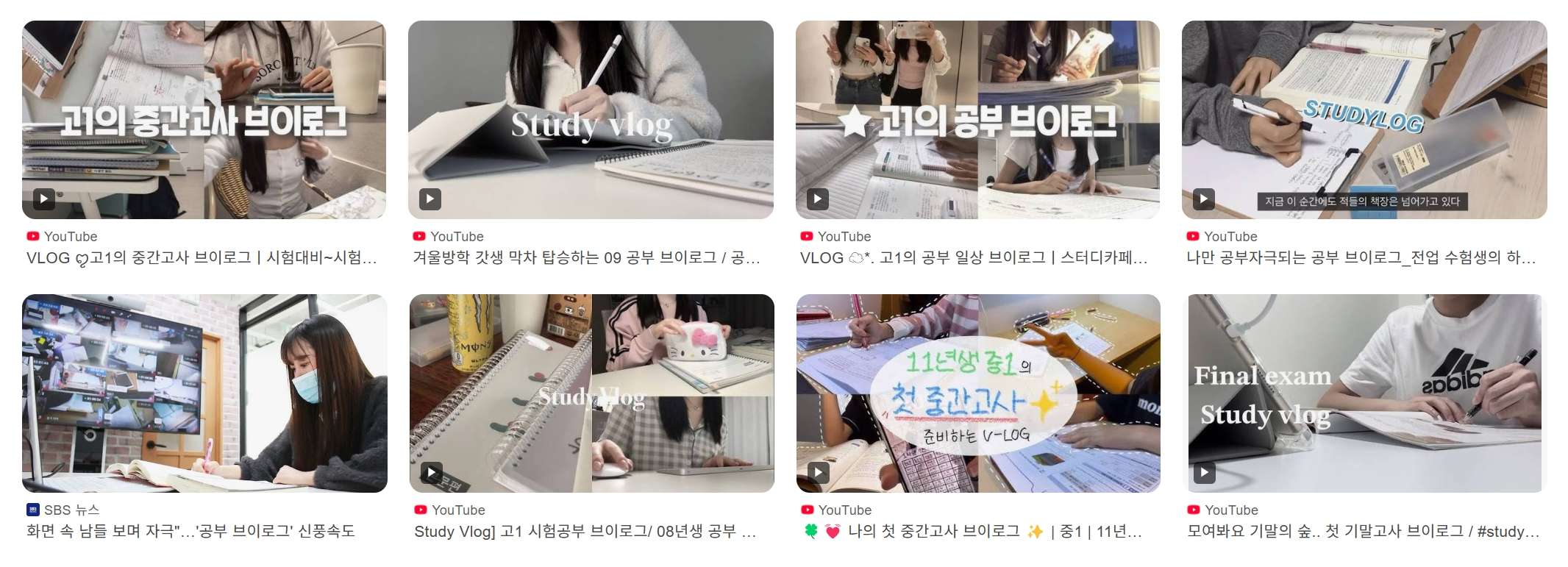 공부 브이로그