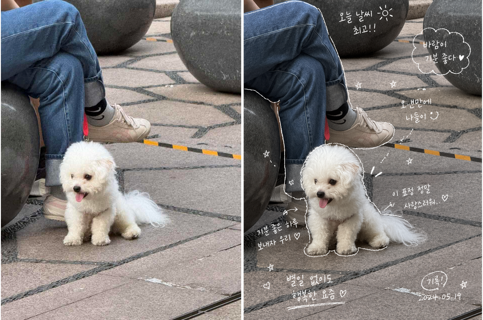图片名