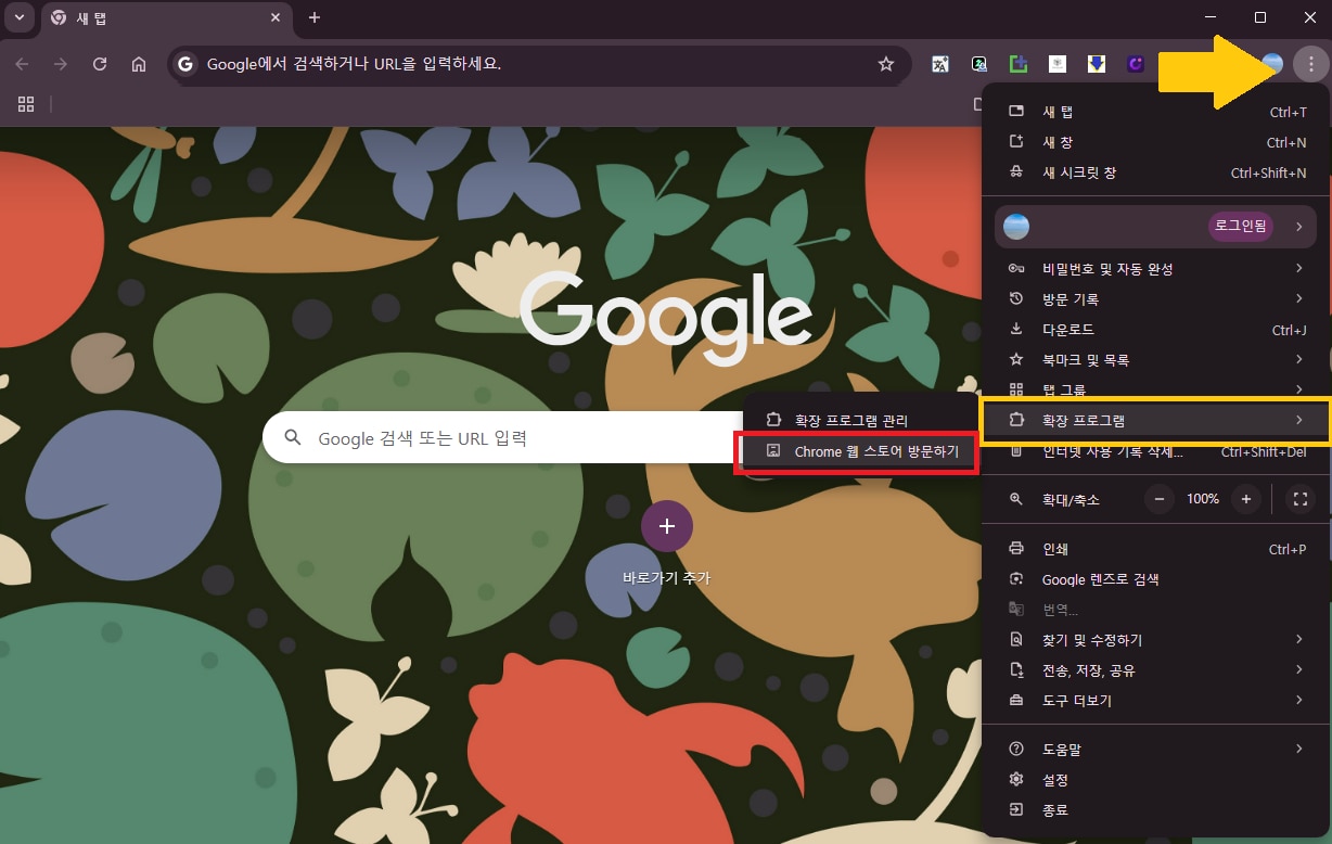 녹화 확장 프로그램