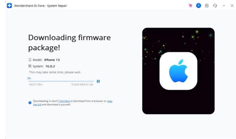 downloading-firmware-1761016441270.jpg