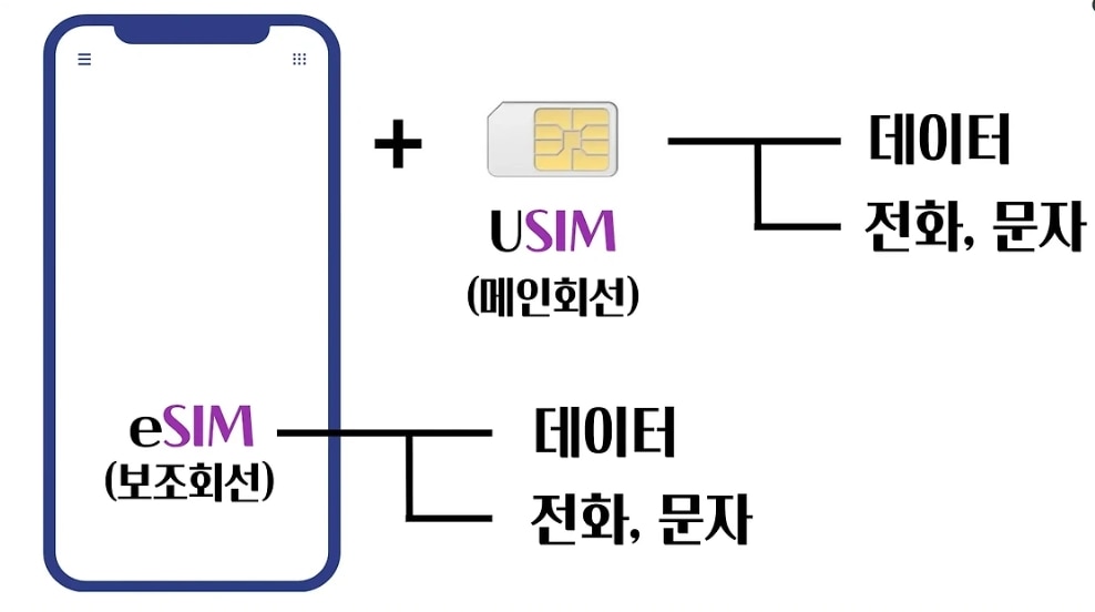 eSIM과 물리 SIM 비교 다이어그램