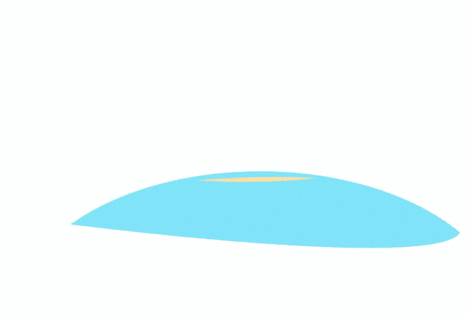 2025-summer-sale