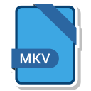 mkv 파일