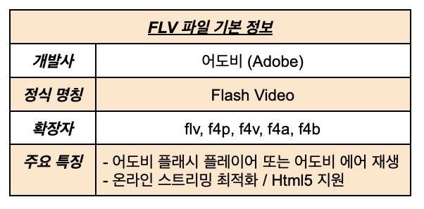  Flv 포맷