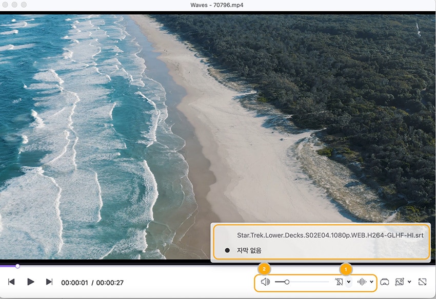 playback video with selected subtitles and audio tracks