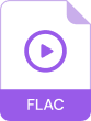 FLAC 파일